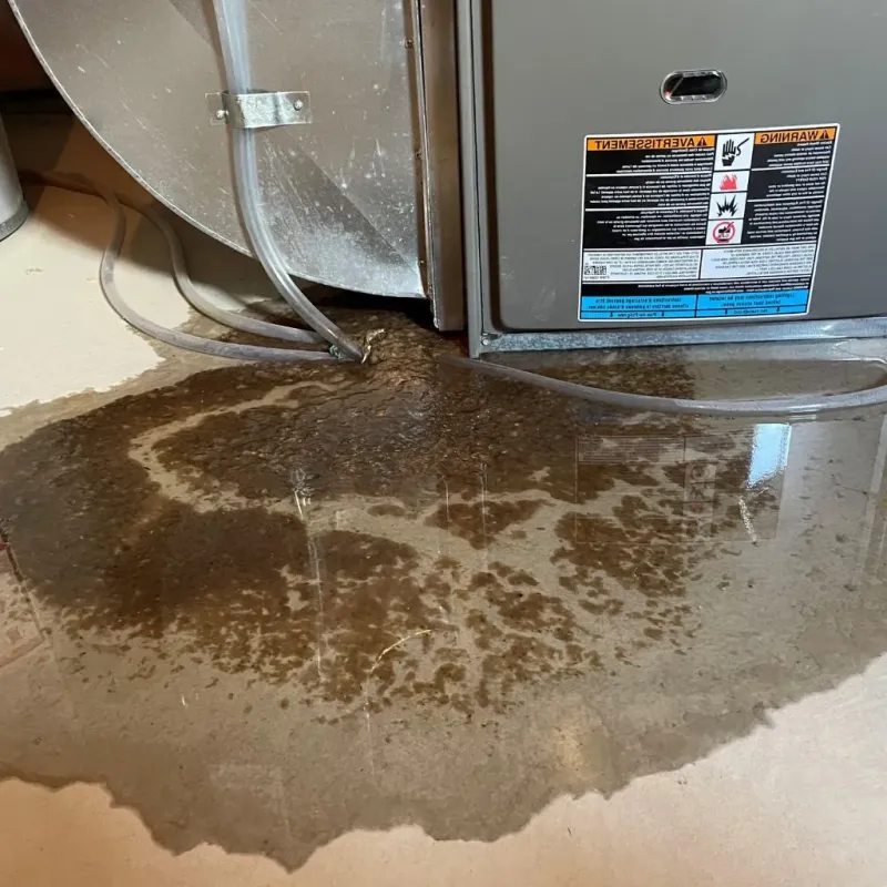 Pipe Burst and Leak Restoration in DeKalb County, GA