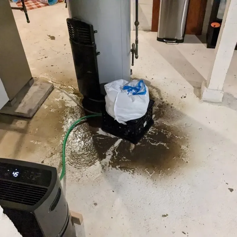 Sewage Backup Cleanup Service in DeKalb County, GA